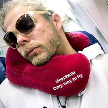 The only way to fly with the Neck Sofa Pillow