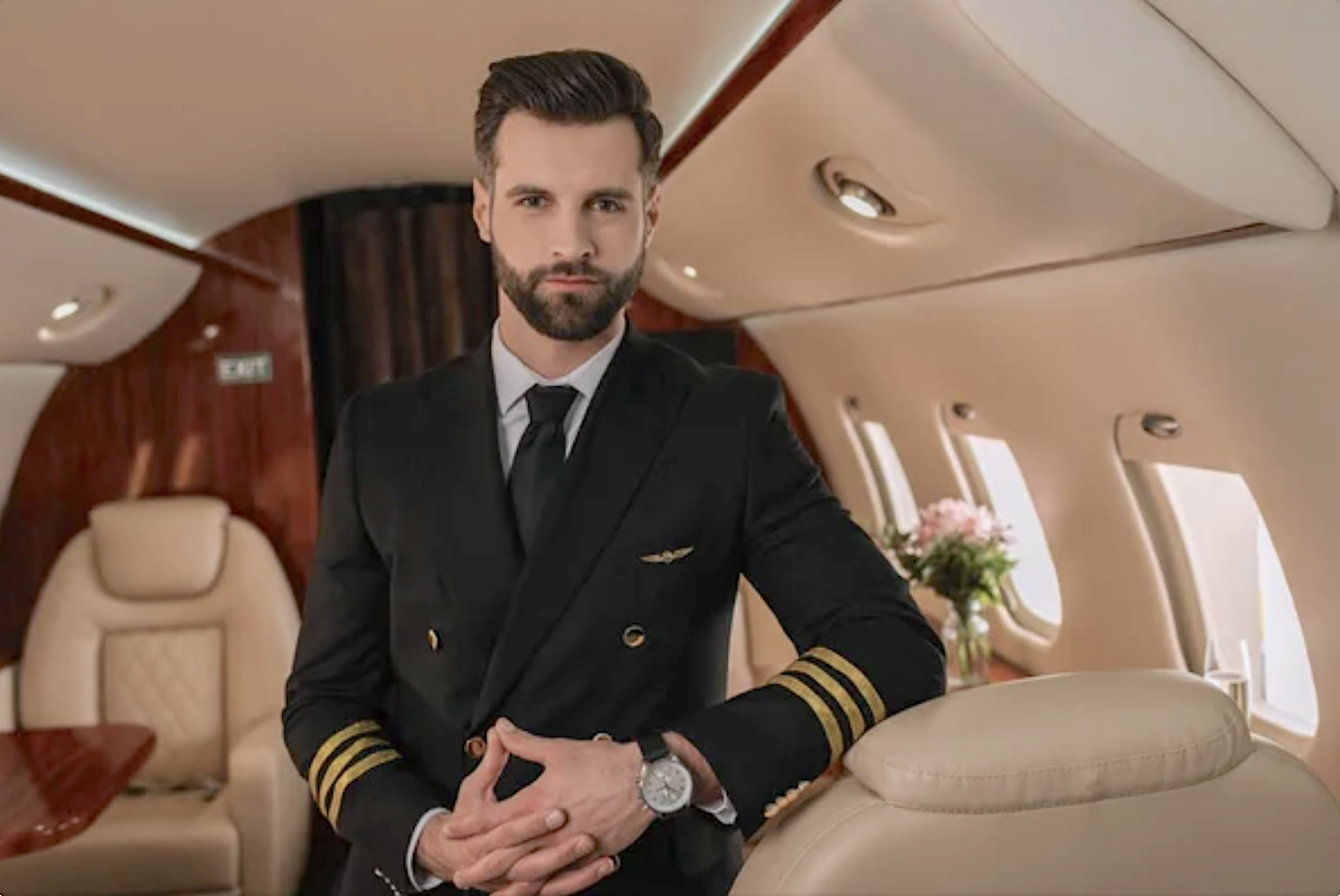 Private jet Travel Neck Pillow