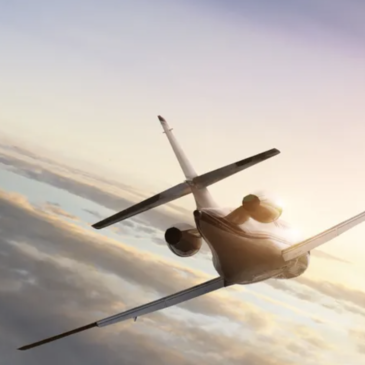 The Neck Sofa Pillow used on Private Jet