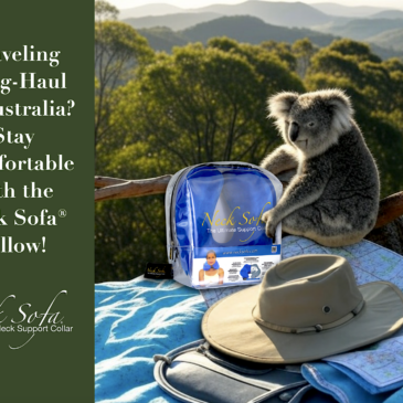 A Koala holding a Blue Neck Sofa Pillow in the clear carry bag in the mountains of Australia