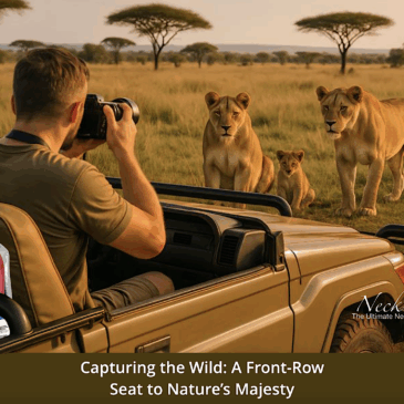 Capturing the Wild A Front-Row Seat to Nature Majesty